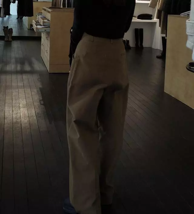 brushed horizon pants - OHOTORO